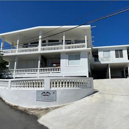 Los Roires Beach Apartments Fajardo Εξωτερικό φωτογραφία
